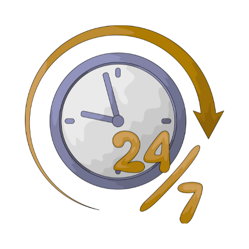 Professional Support 24/7